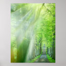 Recherche de spiritualité posters Nature