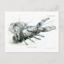 Recherche de homards cartes postales Crustacé
