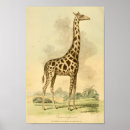 Recherche de copie de girafe art Faune