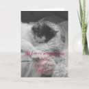 Recherche de sans abri vœux cartes Chaton