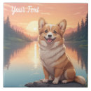 Recherche de welsh corgi carreaux Animal
