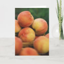 Recherche de focale cartes postales Focalisation sélective