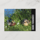 Recherche de m et mme cartes visite Affaires