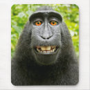 Recherche de singe tapis souris Animaux