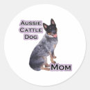 Recherche de cattle autocollants Bétail