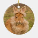 Recherche de tête de lion ornements Lapins