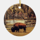 Recherche de bison ornements Peinture