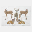 Recherche de cerfs communs de queue maison deco Whitetails