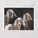 Recherche de expression du visage cartes postales Visages