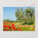 Recherche de poppy cartes postales Paysage