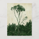 Recherche de arbre vert cartes postales Vintage