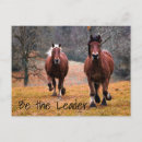 Recherche de courses de cheval cartes postales Poney