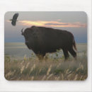 Recherche de bison tapis souris Faune