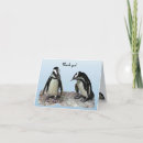 Recherche de pingouin africain vœux cartes Oiseau