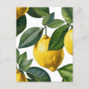 Recherche de jaune citron cartes postales Dessin