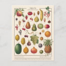 Recherche de illustratif cartes postales Nature