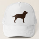 Recherche de labrador retriever casquettes Chien