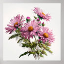 Recherche de asters posters Pour tous
