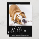 Recherche de pet party invitations Élégant