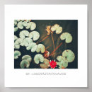 Recherche de plante verte posters Fleurs