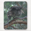 Recherche de dindes tapis souris Jeune