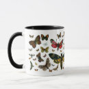 Recherche de photos de papillon tasses Papillons