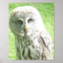 Recherche de oiseau curieux art Photographie