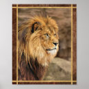 Recherche de lion photographie Toute personne