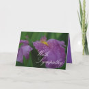 Recherche de iris photographie Pourpre