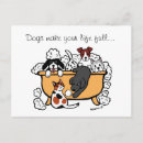 Recherche de salon de chien cartes postales Salon pour animaux