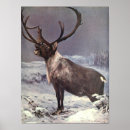 Recherche de caribou posters Hiver