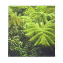 Recherche de fougères blocsnotes Tropical