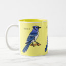 Recherche de geai bleu tasses Oiseau