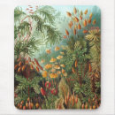 Recherche de antique standard tapis souris Vintage