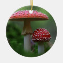 Recherche de champignon magique ornements Champignons