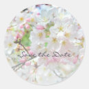 Recherche de cherry blossom autocollants Floral