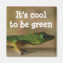 Recherche de lézard magnets Soleil