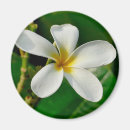Recherche de pour ordinateur portable magnets Fleur