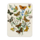 Recherche de illustration de papillon magnets Chenille