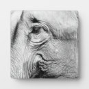 Recherche de éléphant plaques Animaux sauvages
