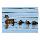 Recherche de esturgeon cartes postales Sauvagine