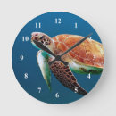 Recherche de turtle horloges Sea