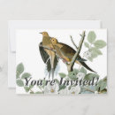 Recherche de pigeon invitations Colombe