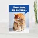 Recherche de nez vœux cartes Chat