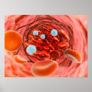 Recherche de biology posters Concave