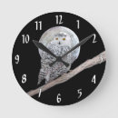 Recherche de hibou blanc art Oiseau
