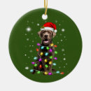 Recherche de memorial hats Animal