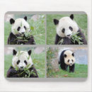 Recherche de panda géant tapis souris Nature