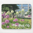 Recherche de allium Fleurs