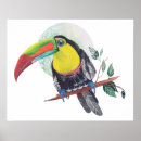 Recherche de peinture de toucan art Exotique